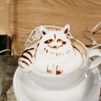 お知らせ画像
