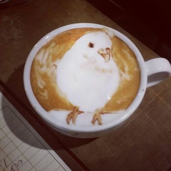 お知らせ画像