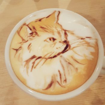 お知らせ画像